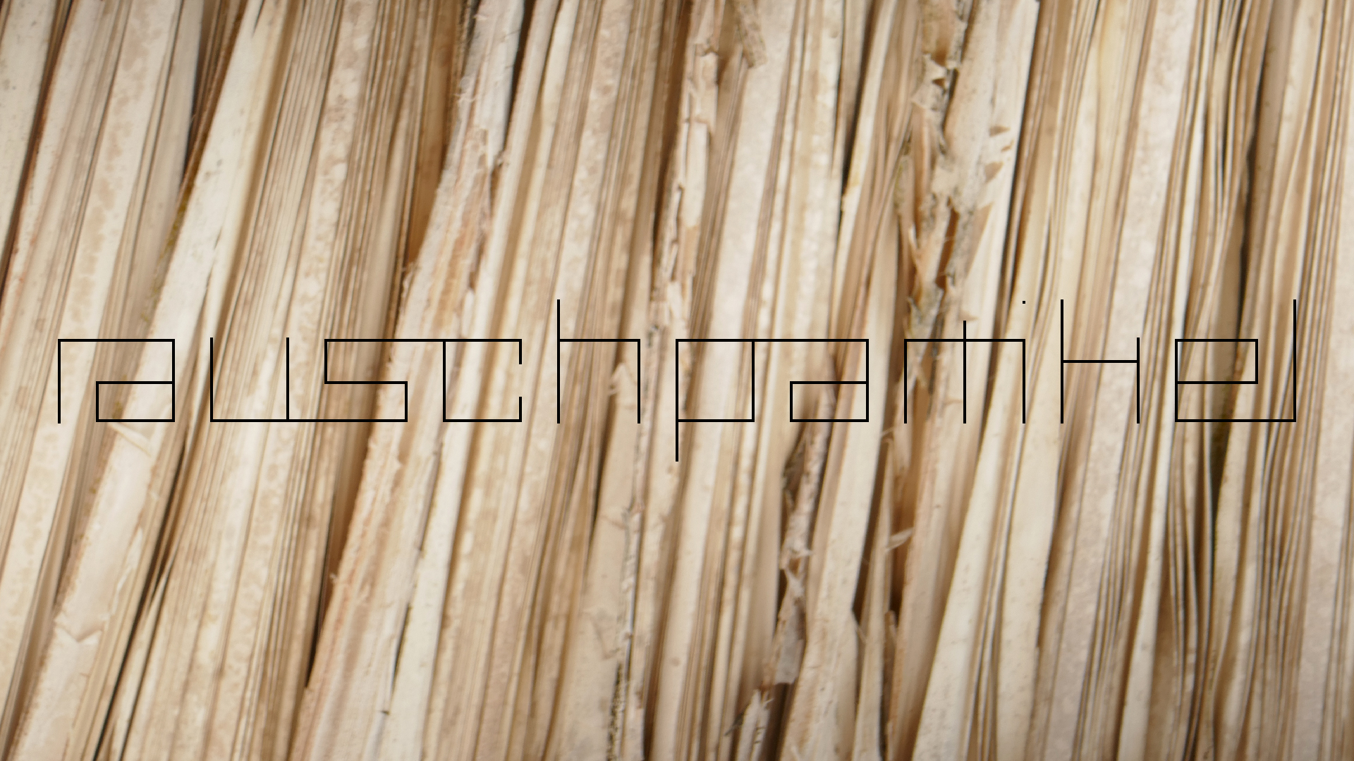 2022-10-29 13 Uhr 27 Playa Kalki (Foto, Video)